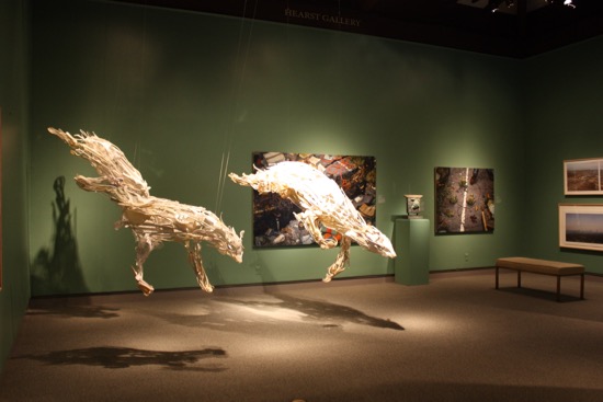 ENVIRONMENTAL IMPACT Photo