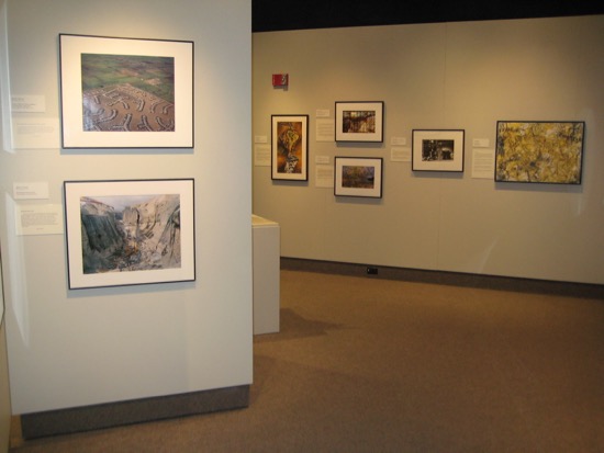 ENVIRONMENTAL IMPACT Photo