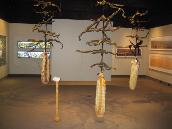 ENVIRONMENTAL IMPACT Photo