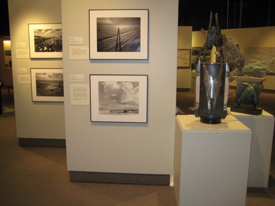 ENVIRONMENTAL IMPACT Photo