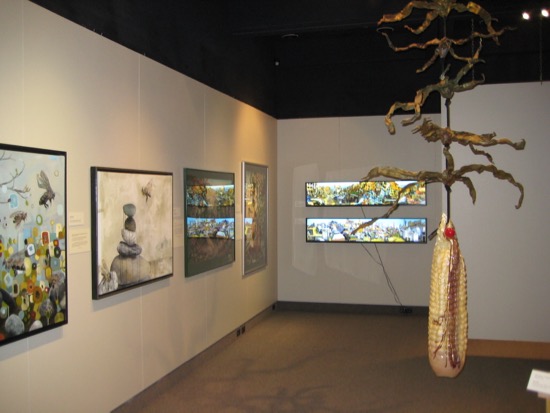 ENVIRONMENTAL IMPACT Photo