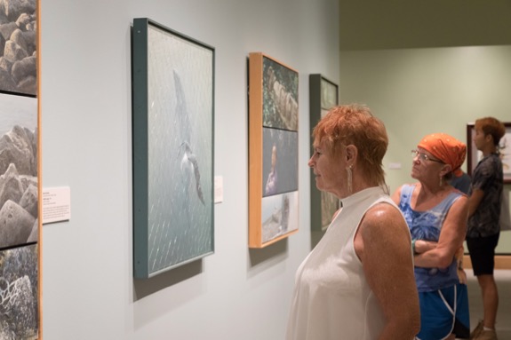 Environmental Impact II Exhibition installation photo