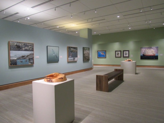 Environmental Impact II Exhibition installation photo