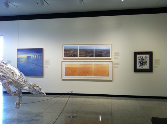 ENVIRONMENTAL IMPACT Exhibition Photo