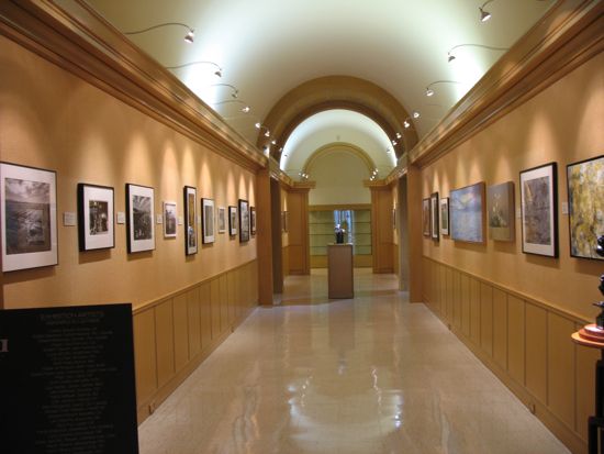 ENVIRONMENTAL IMPACT Exhibition Photo