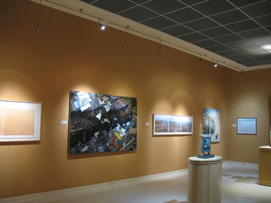 ENVIRONMENTAL IMPACT Exhibition Photo