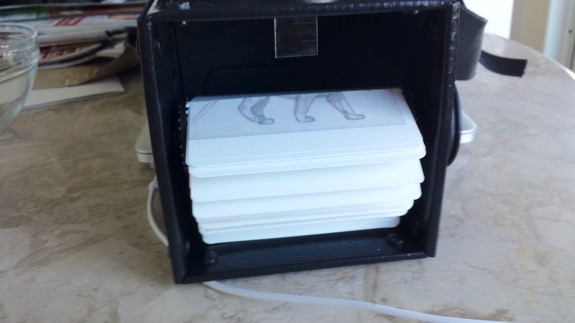 FELINE FINE II Exhibition Photo