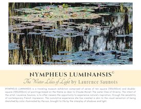 NYMPHEUS LUMINANSIS