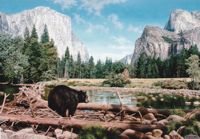 America's Parks II featured artwork