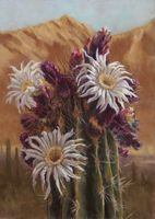 America's Parks II featured artwork