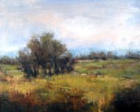 America's Parks II featured artwork