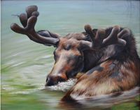 America's Parks II featured artwork