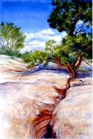 America's Parks II featured artwork