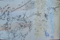 America's Parks II featured artwork