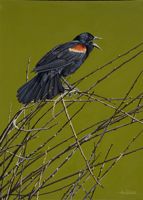 America's Parks II featured artwork