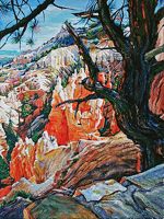 America's Parks II featured artwork