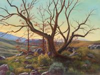 America's Parks II featured artwork