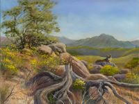 America's Parks II featured artwork