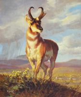 America's Parks II featured artwork