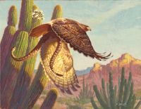 America's Parks II featured artwork