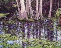 America's Parks I Encore featured artwork