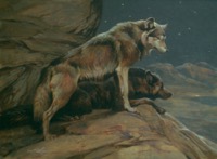 America's Parks I Encore featured artwork