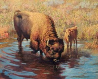 America's Parks I Encore featured artwork