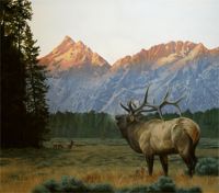 America's Parks I featured artwork