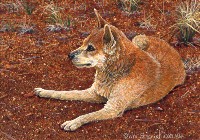 miniature painting of a dingo by Wes Siegrist